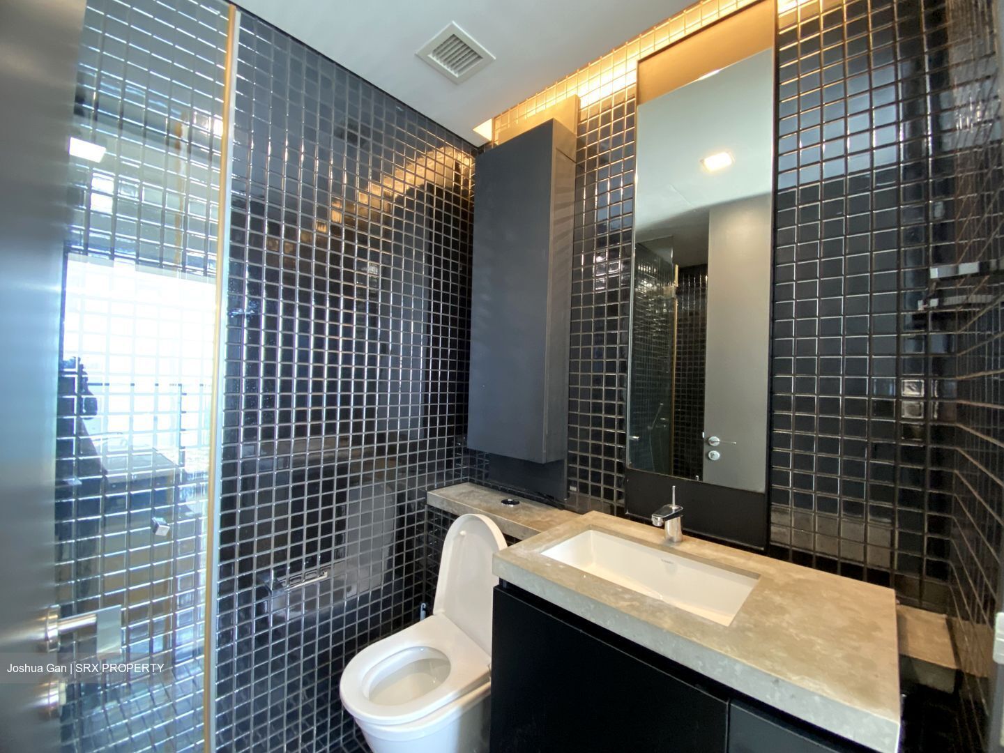 Skysuites@Anson (D2), Apartment #558493711